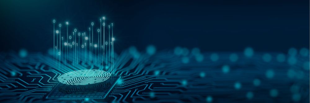 Biometric Installation in CBD 1 Biometric Installation in CBD