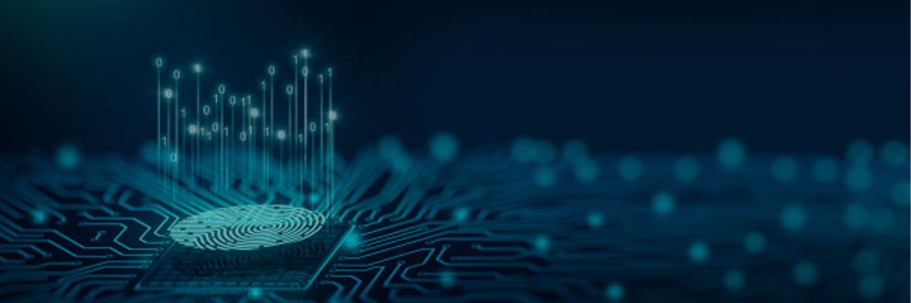 Biometric Installation in Blue Mountains 1 Biometric Installation in Blue Mountains